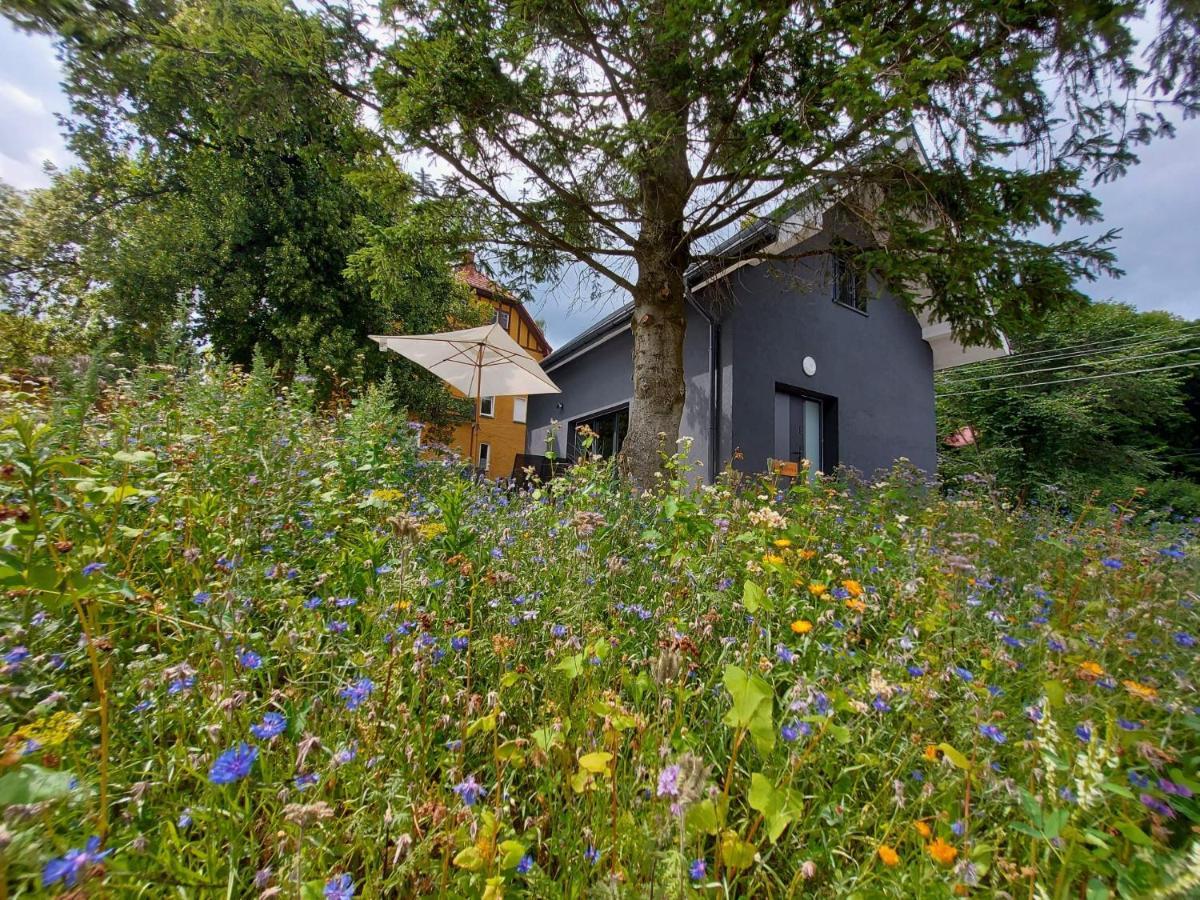 Villa Bryziowka B Miłków Exterior foto
